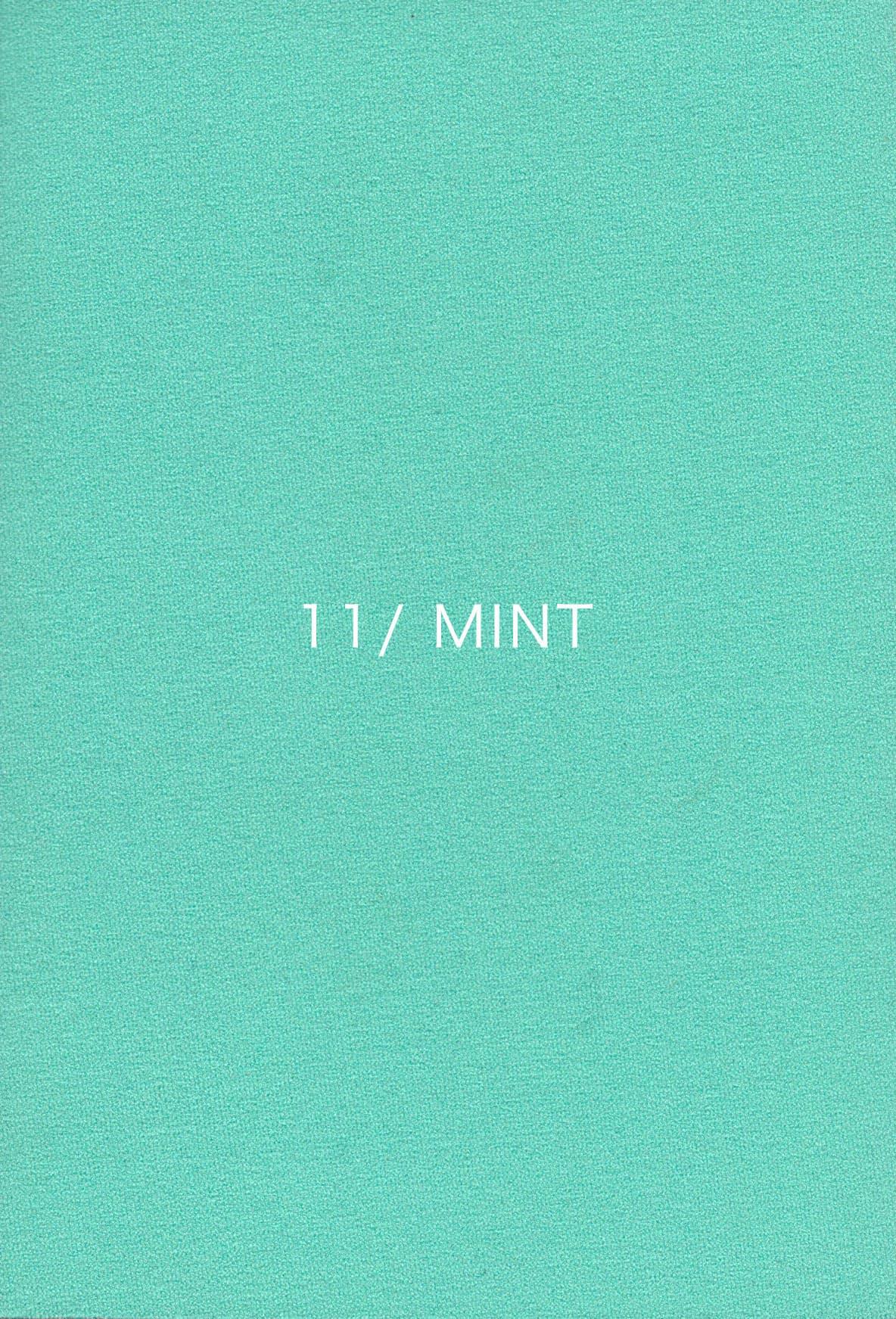 no11_mint.jpg