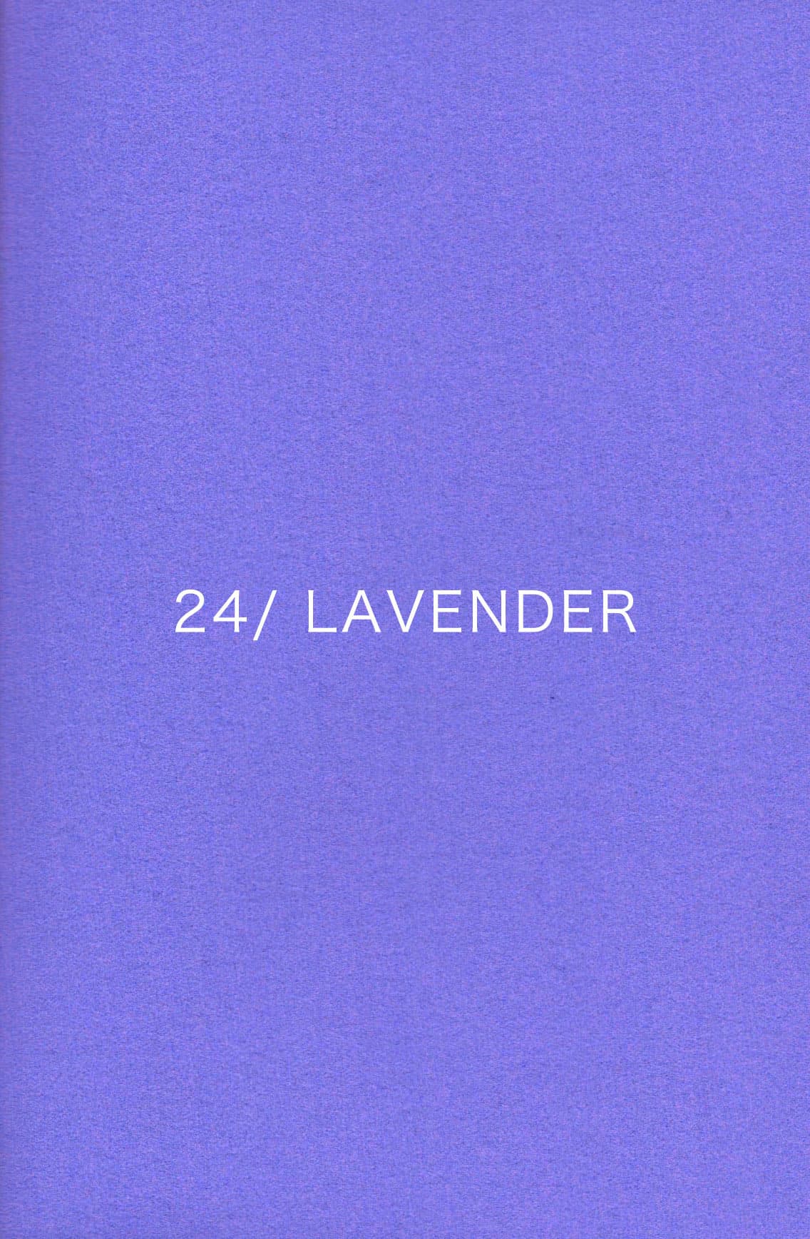 no24_lavender.jpg