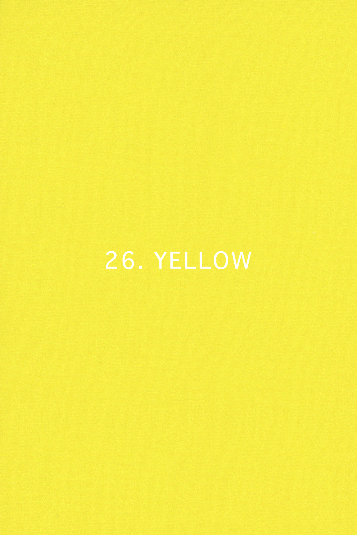 Pre-Order｜ZAG Totebag– 25 Colors